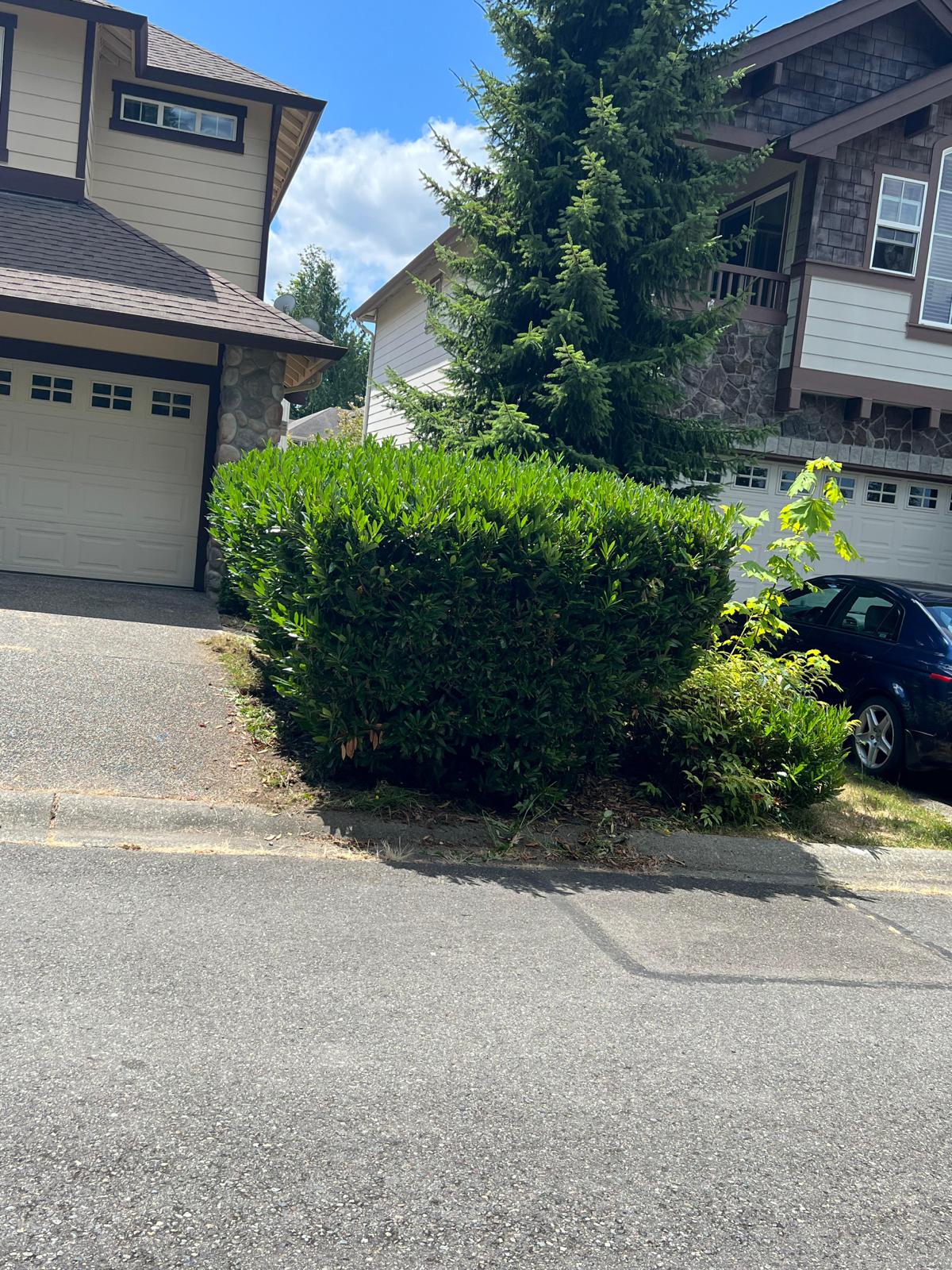 Osvaldo s Landscaping LLC-2023-07-13T14_06_53.070Z-3 Osvaldo s Landscaping LLC-2023-07-13T14_06_53.070Z-3