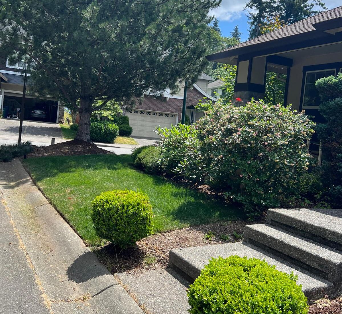 Osvaldo s Landscaping LLC-2023-07-13T14_08_50.740Z-5