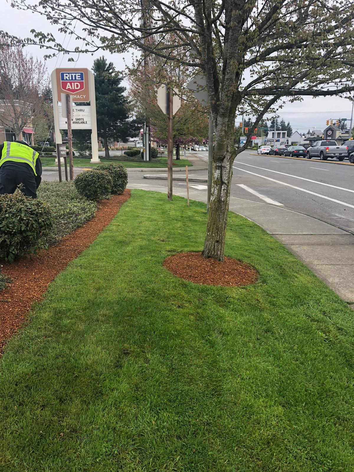 Osvaldo’s Landscaping LLC-2023-02-14T20_17_07.987Z-1 Osvaldo's Landscaping LLC-2023-02-14T20_17_07.987Z-1