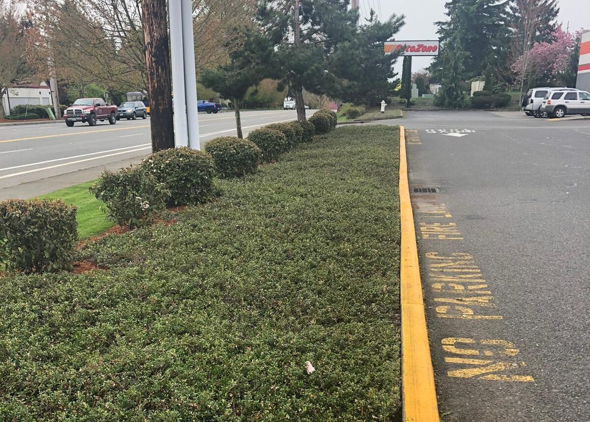 Osvaldo’s Landscaping LLC-2023-02-14T20_17_07.987Z-2 Osvaldo's Landscaping LLC-2023-02-14T20_17_07.987Z-2