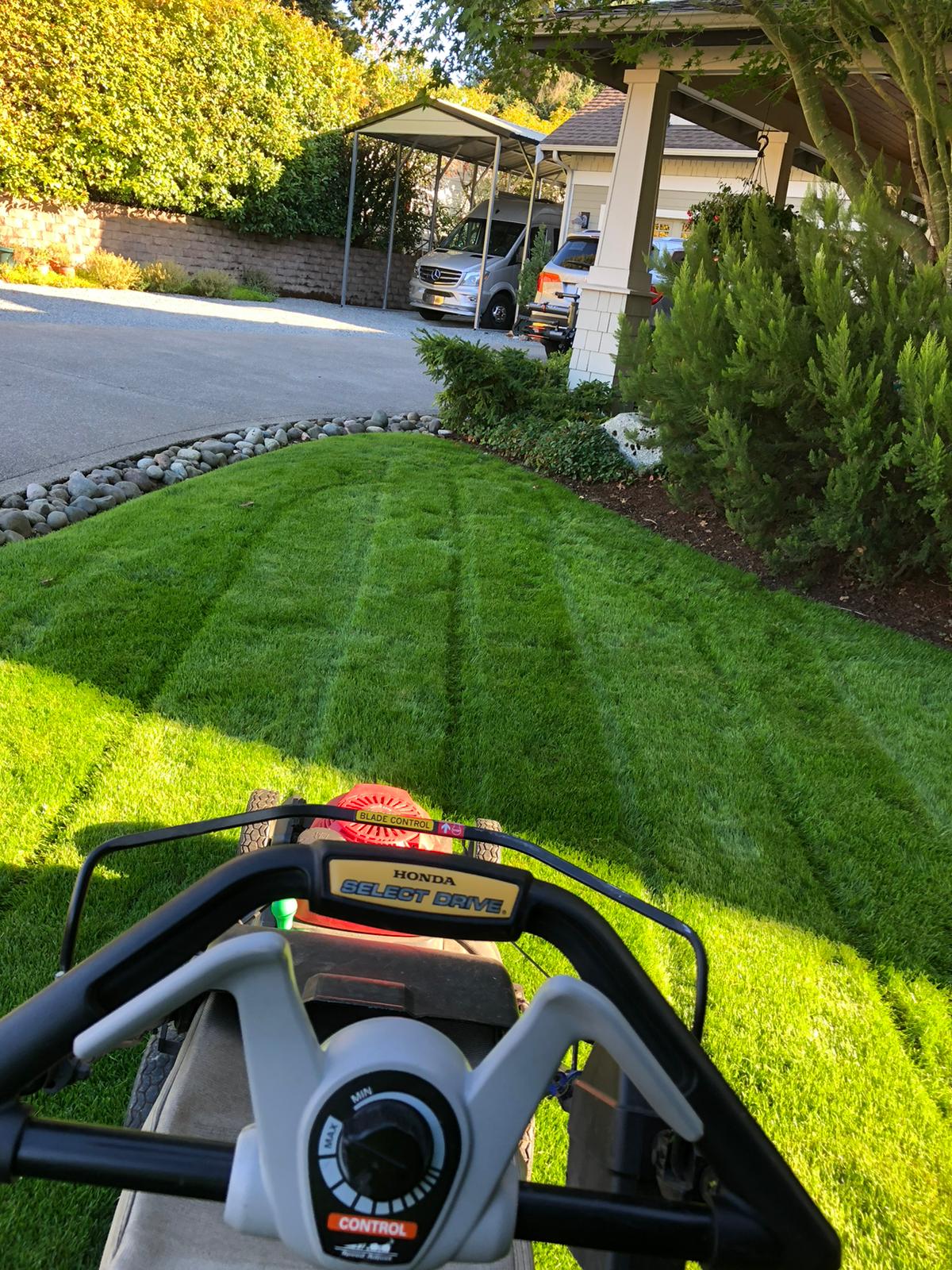 Osvaldo’s Landscaping LLC-2023-02-14T20_17_07.987Z-3 Osvaldo's Landscaping LLC-2023-02-14T20_17_07.987Z-3